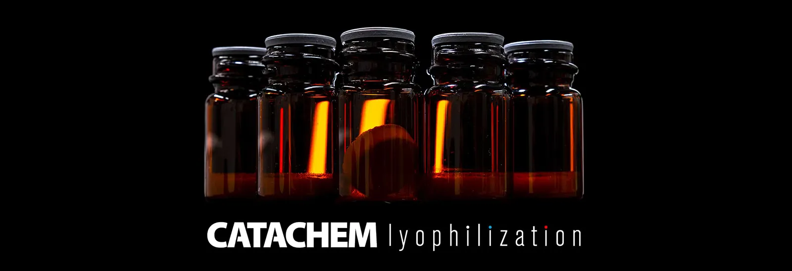 Custom Lyophilization - Catachem